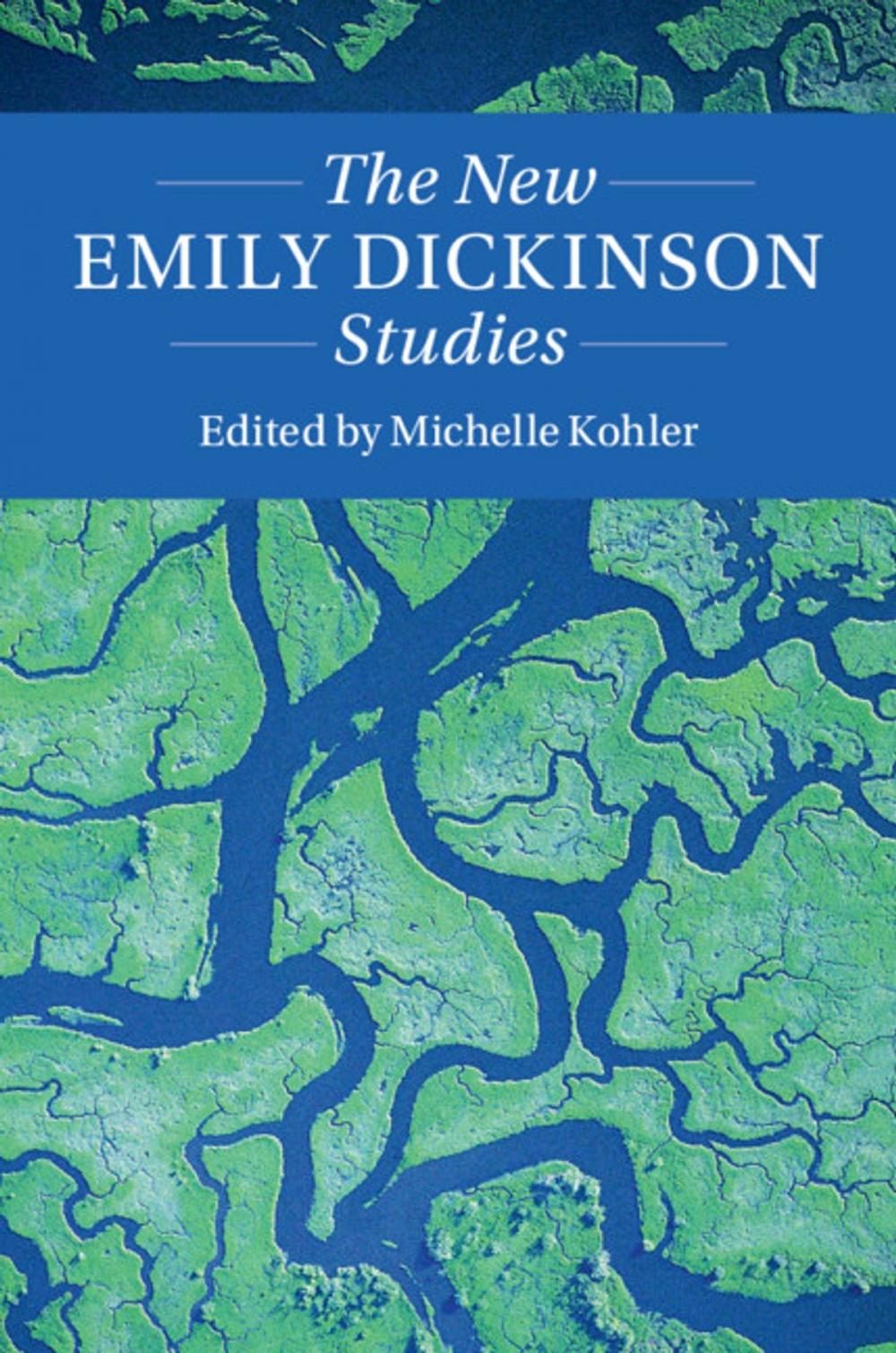 Big bigCover of The New Emily Dickinson Studies