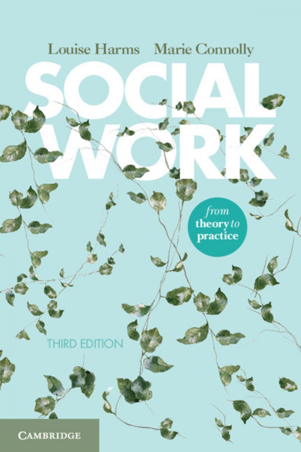 Big bigCover of Social Work