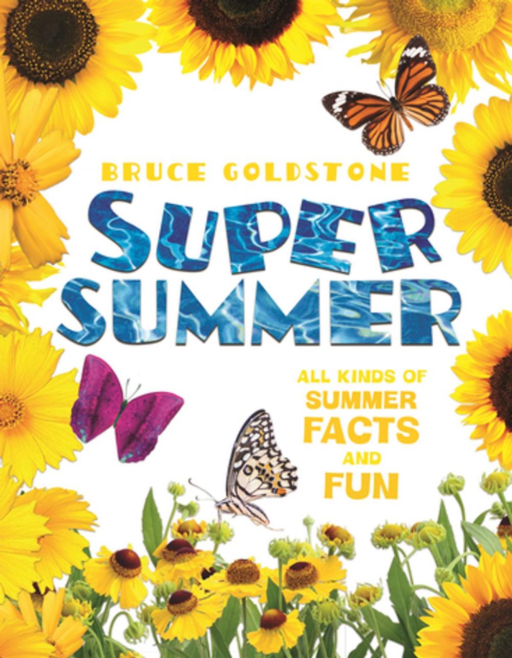 Big bigCover of Super Summer