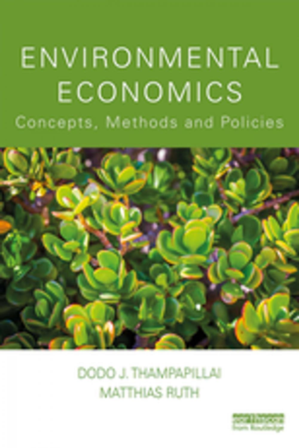 Big bigCover of Environmental Economics