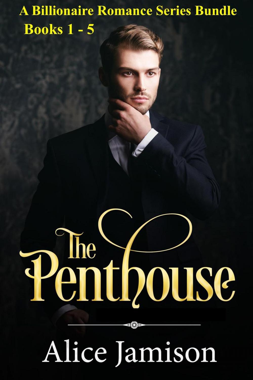 Big bigCover of A Billionaire Romance Series Bundle Books 1 - 5 The Penthouse