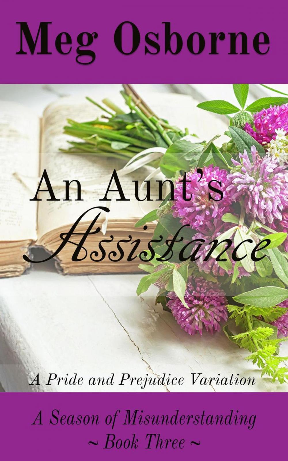 Big bigCover of An Aunt's Assistance