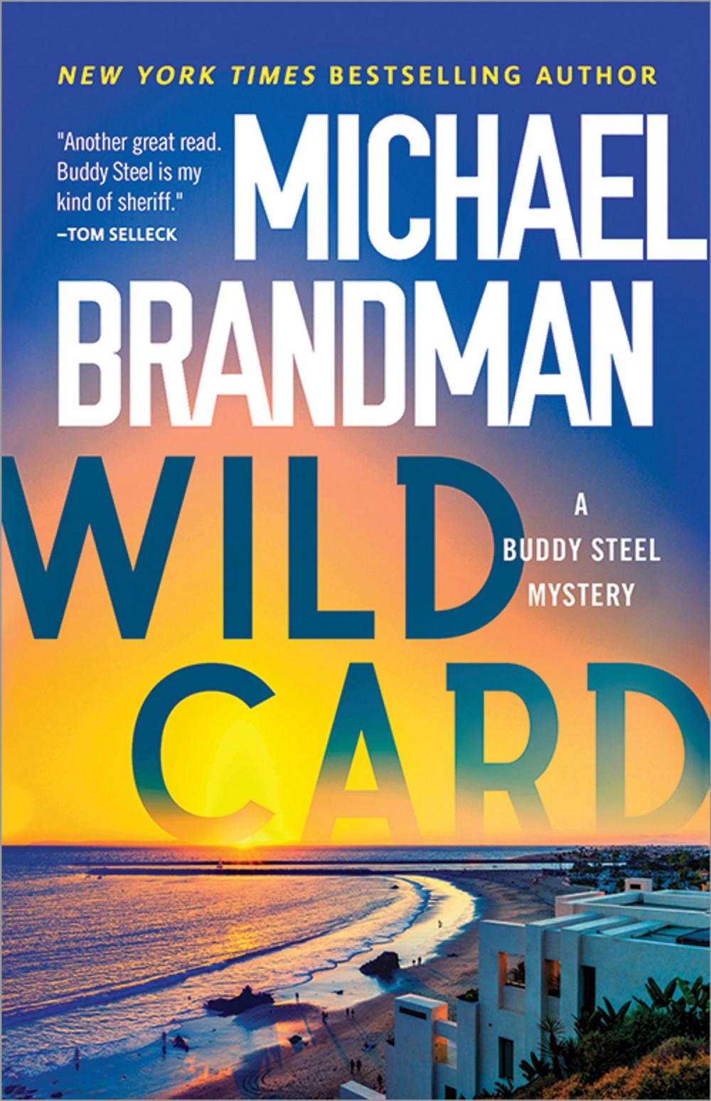 Big bigCover of Wild Card