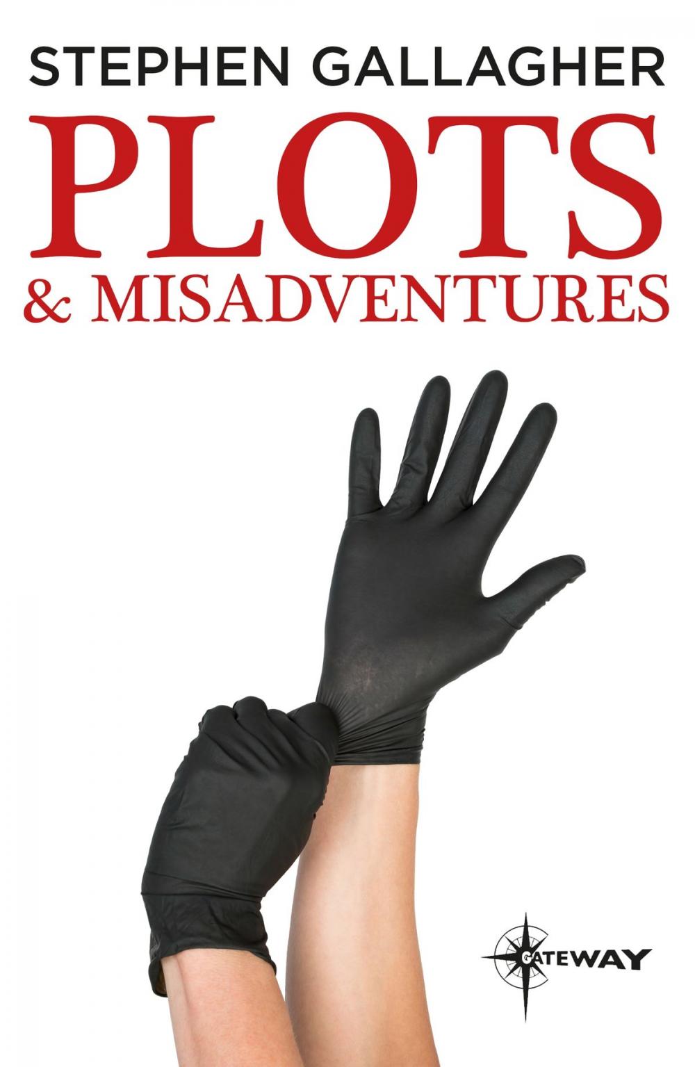 Big bigCover of Plots and Misadventures