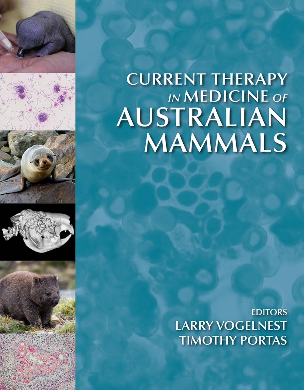 Big bigCover of Current Therapy in Medicine of Australian Mammals