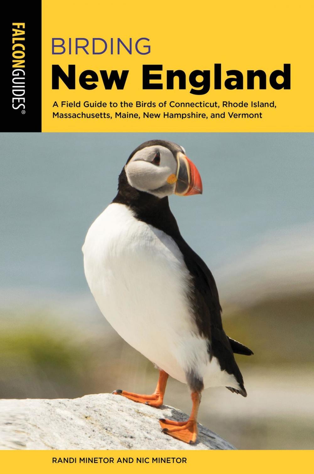 Big bigCover of Birding New England