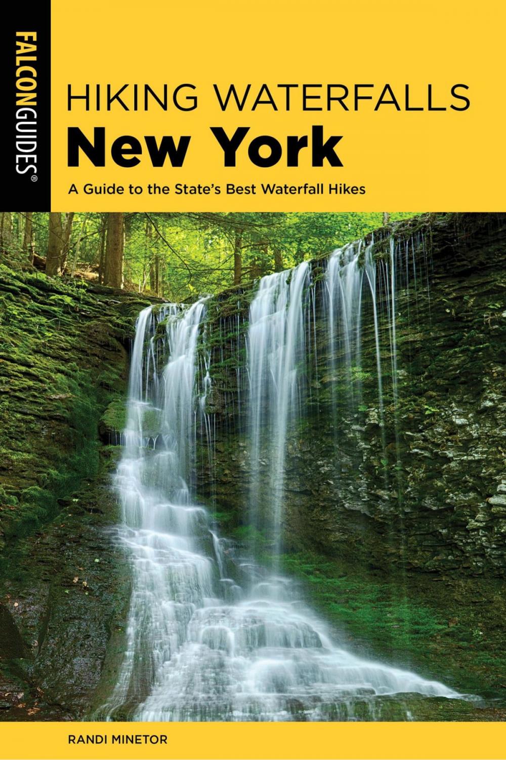 Big bigCover of Hiking Waterfalls New York