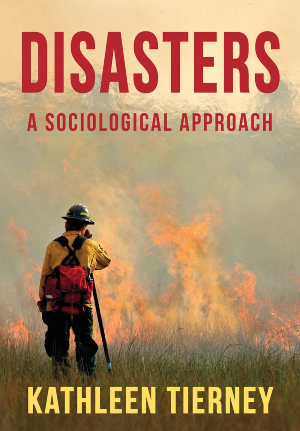 Big bigCover of Disasters