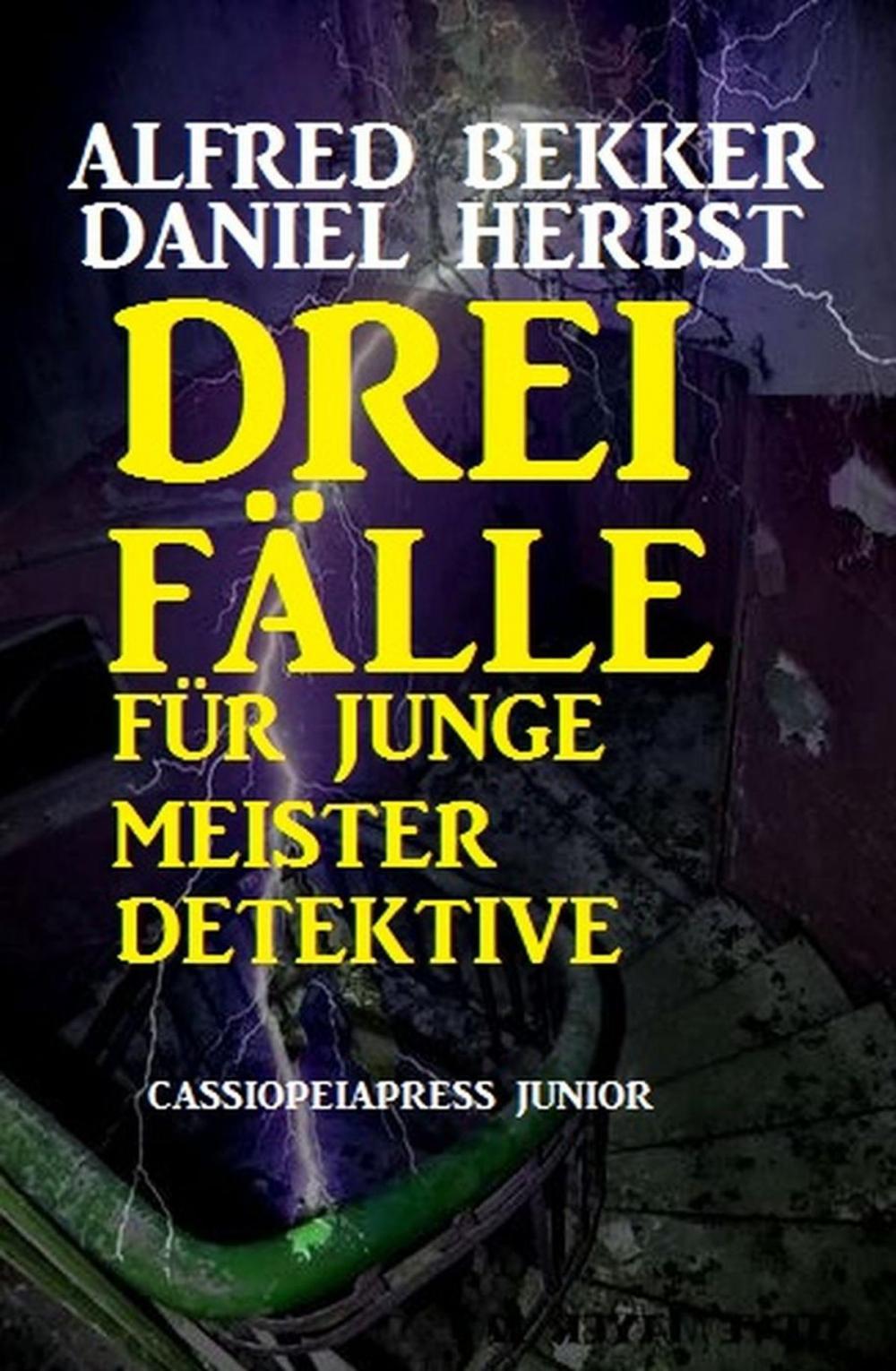 Big bigCover of Drei Fälle für junge Meisterdetektive