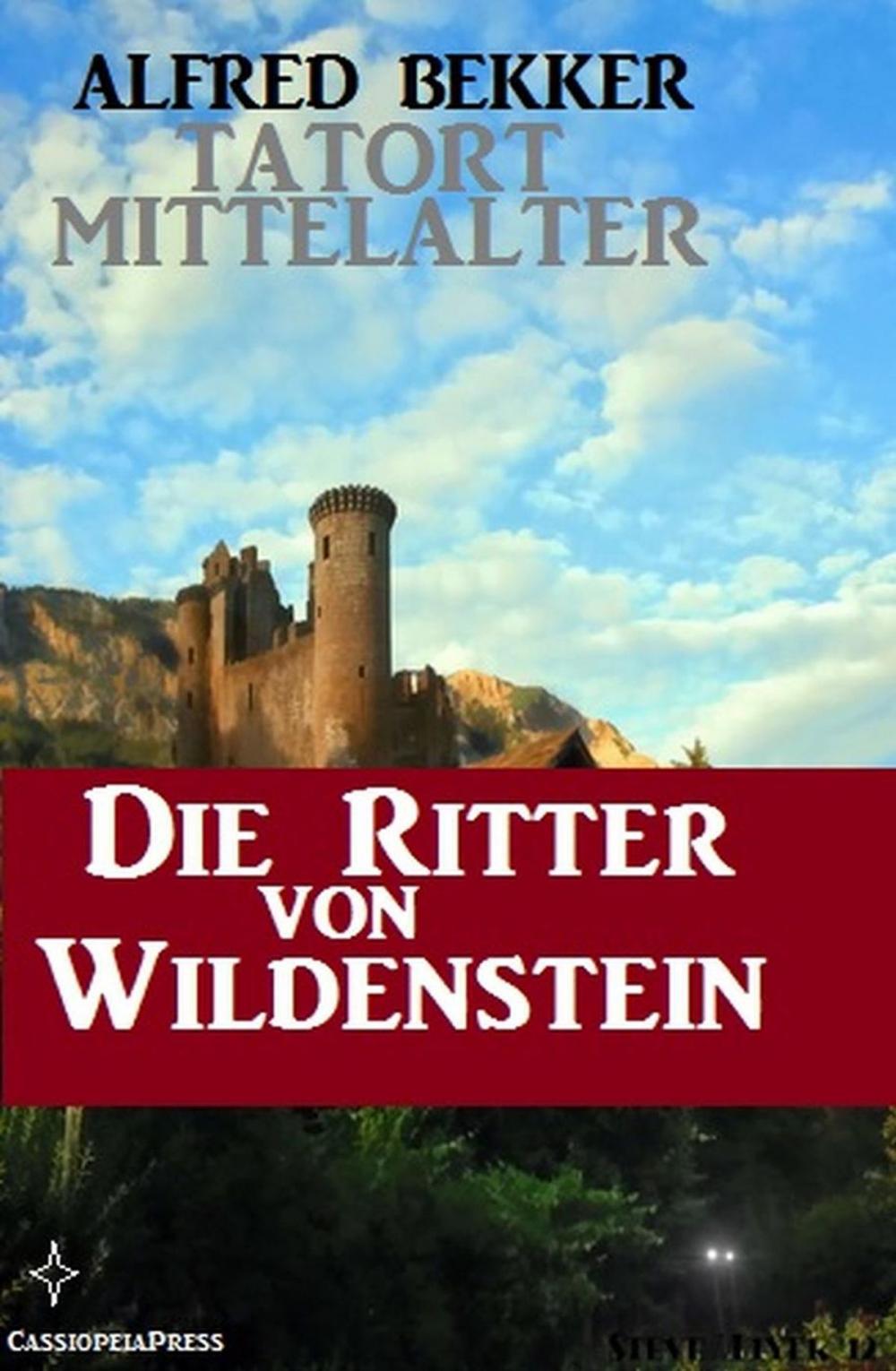 Big bigCover of Die Ritter von Wildenstein