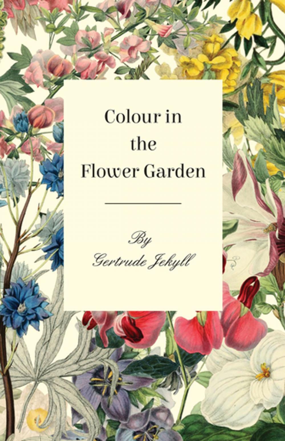 Big bigCover of Colour in the Flower Garden