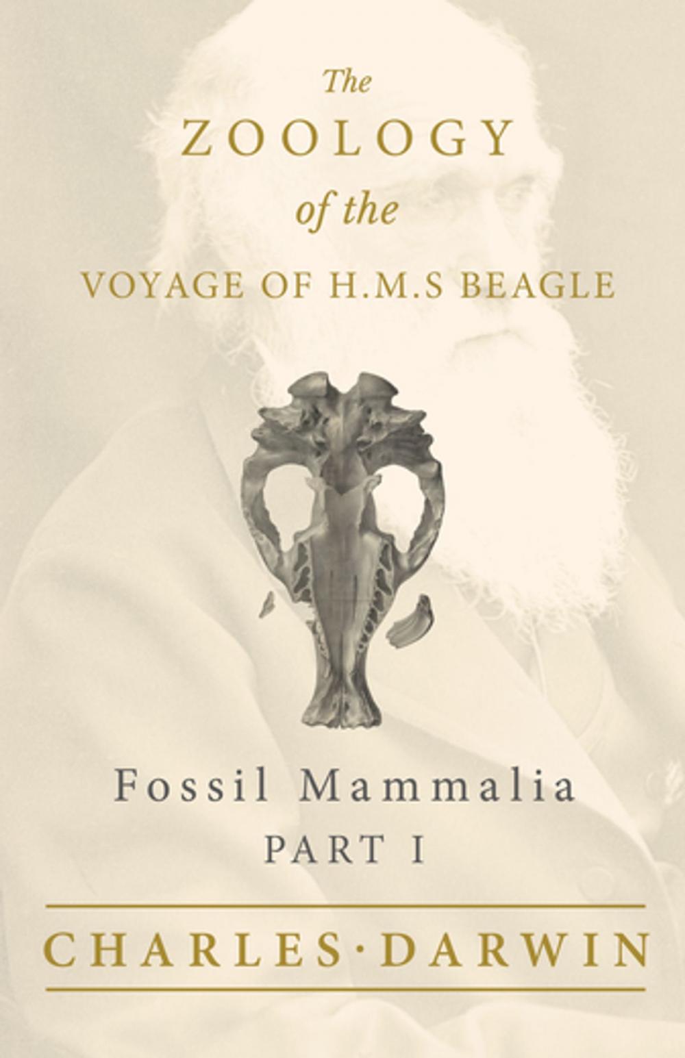 Big bigCover of Fossil Mammalia - Part I - The Zoology of the Voyage of H.M.S Beagle