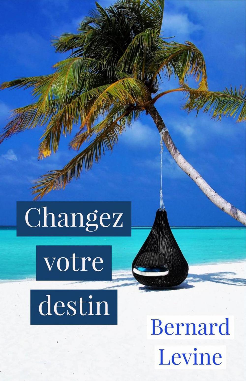 Big bigCover of Changez votre destin