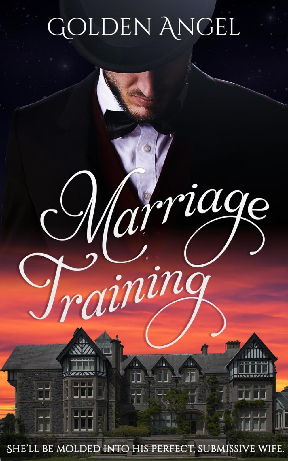 Big bigCover of Marriage Training