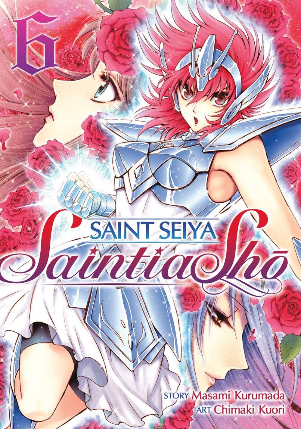 Big bigCover of Saint Seiya: Saintia Sho Vol. 6