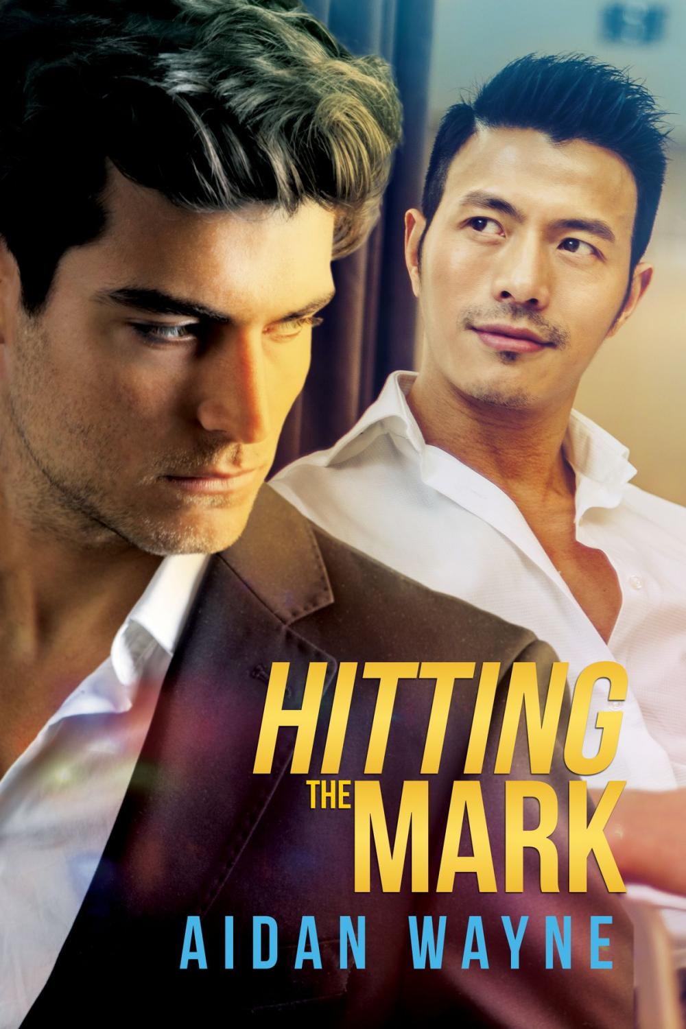 Big bigCover of Hitting the Mark