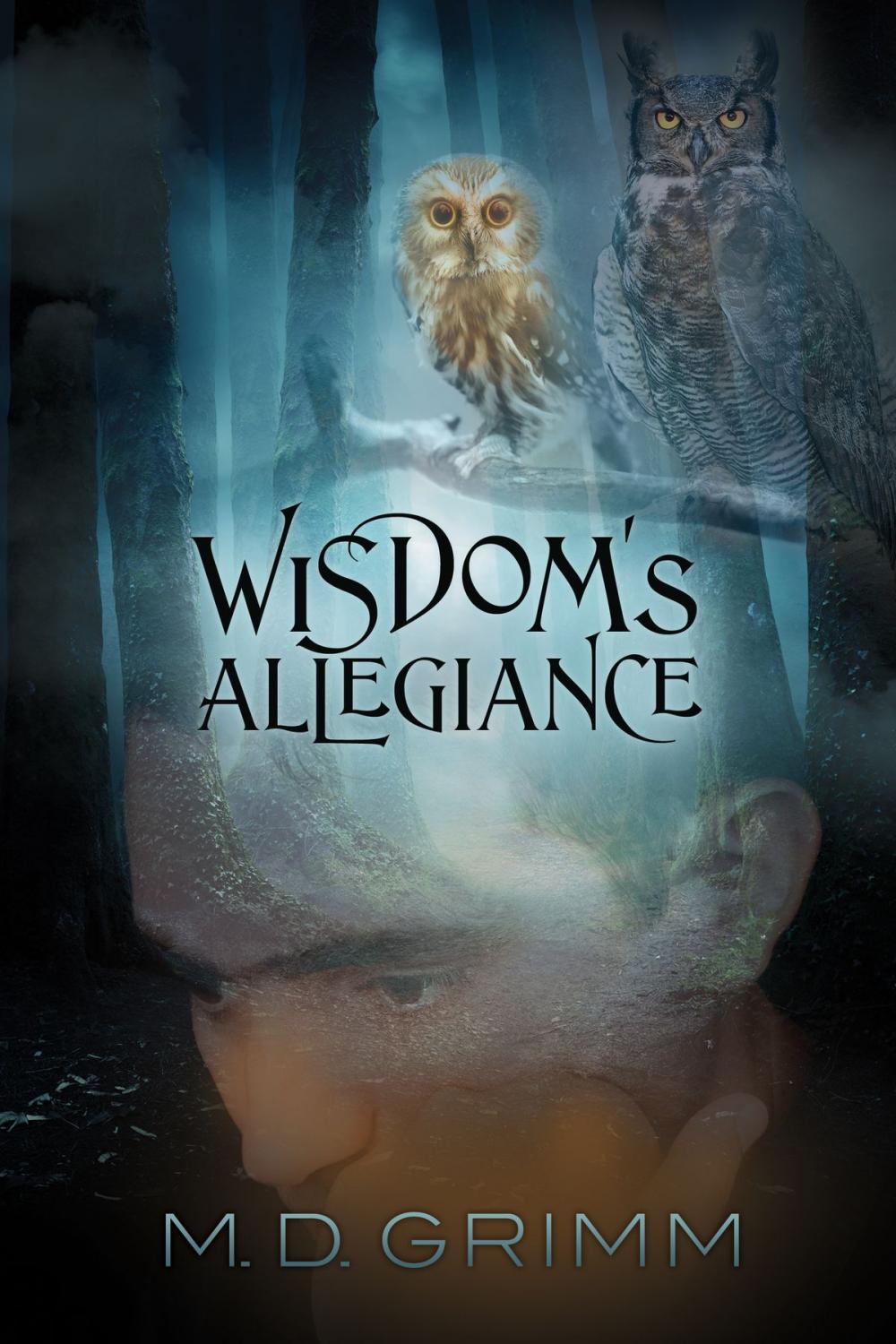 Big bigCover of Wisdom's Allegiance