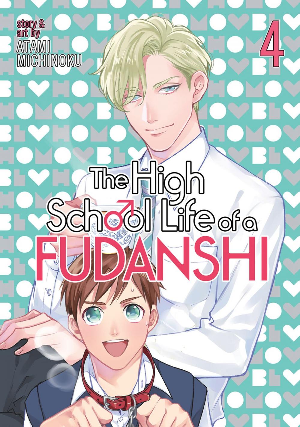 Big bigCover of The High School Life of a Fudanshi Vol. 4