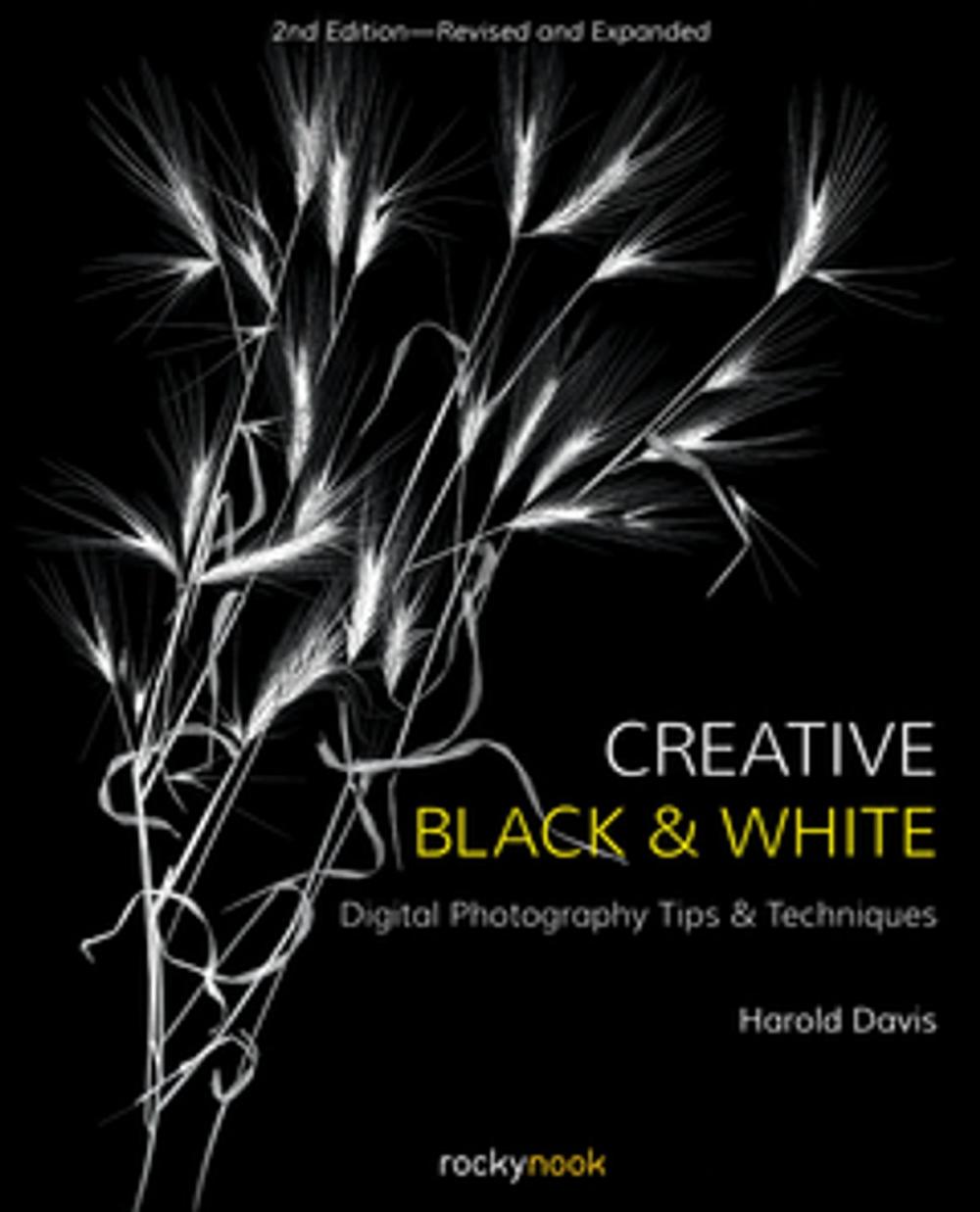 Big bigCover of Creative Black and White