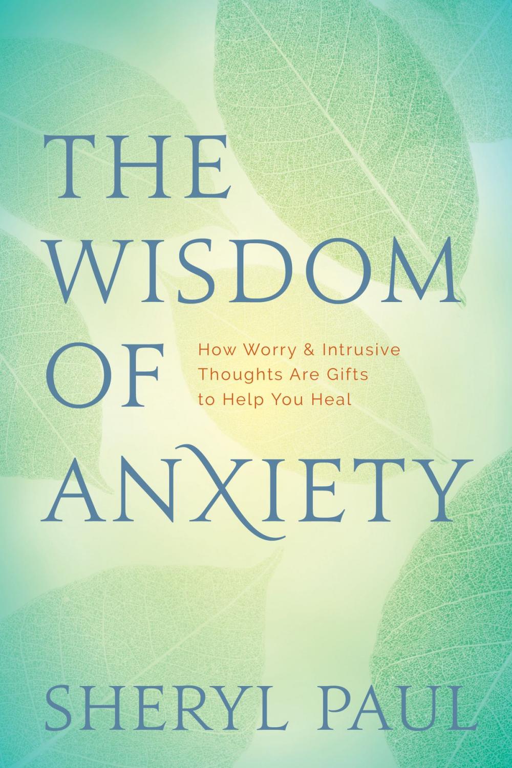 Big bigCover of The Wisdom of Anxiety