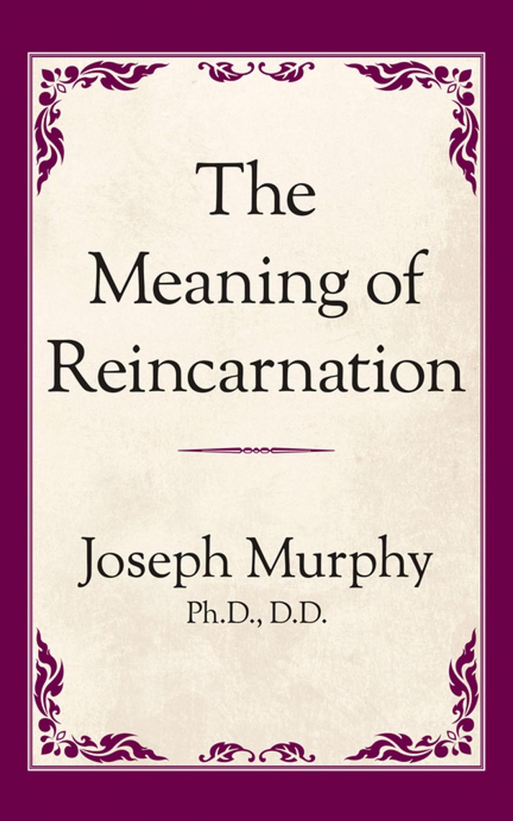 Big bigCover of The Meaning of Reincarnation