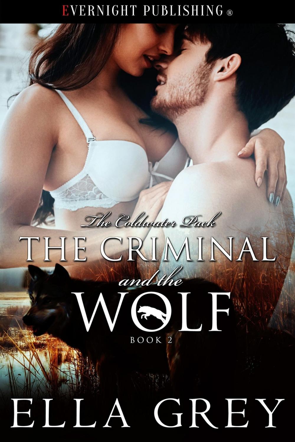 Big bigCover of The Criminal and the Wolf