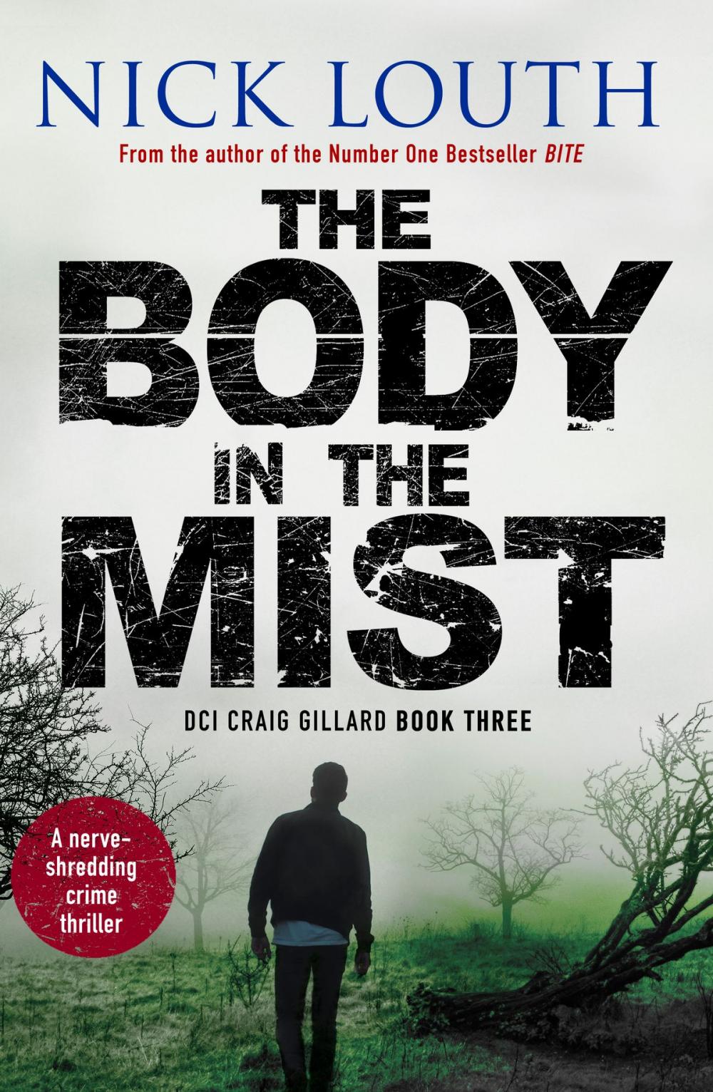 Big bigCover of The Body in the Mist