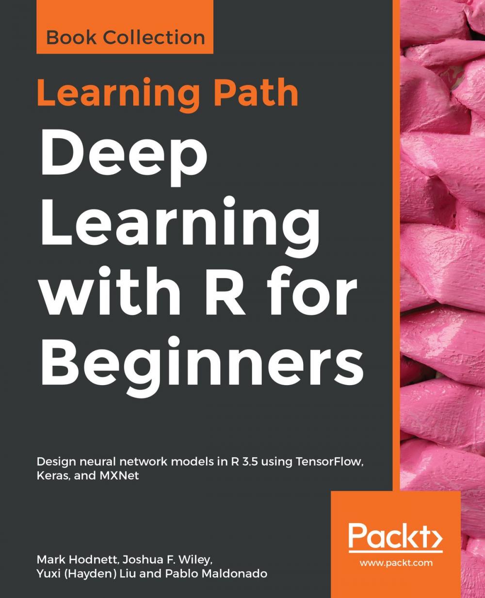 Big bigCover of Deep Learning with R for Beginners