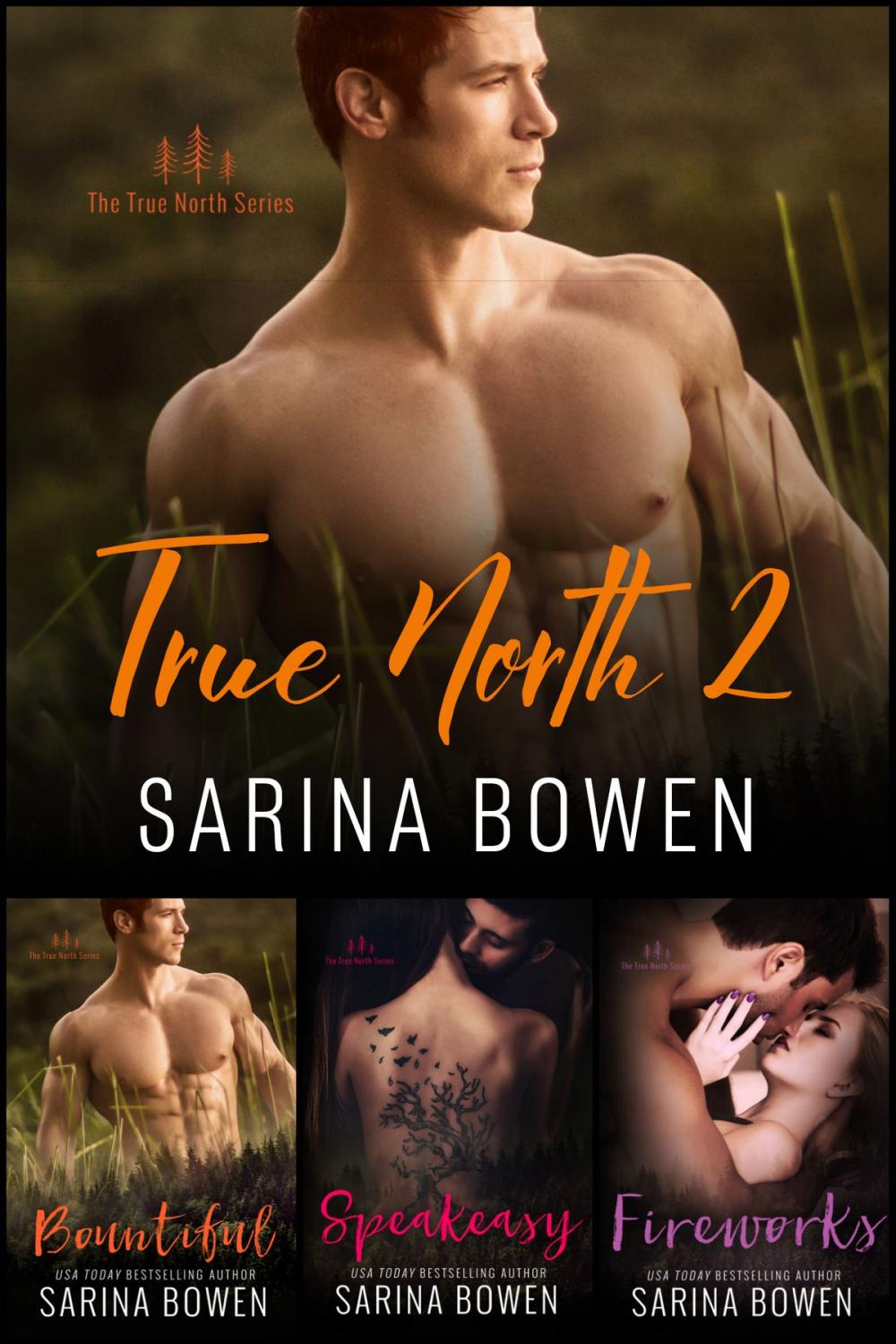 Big bigCover of True North Box Set Volume 2