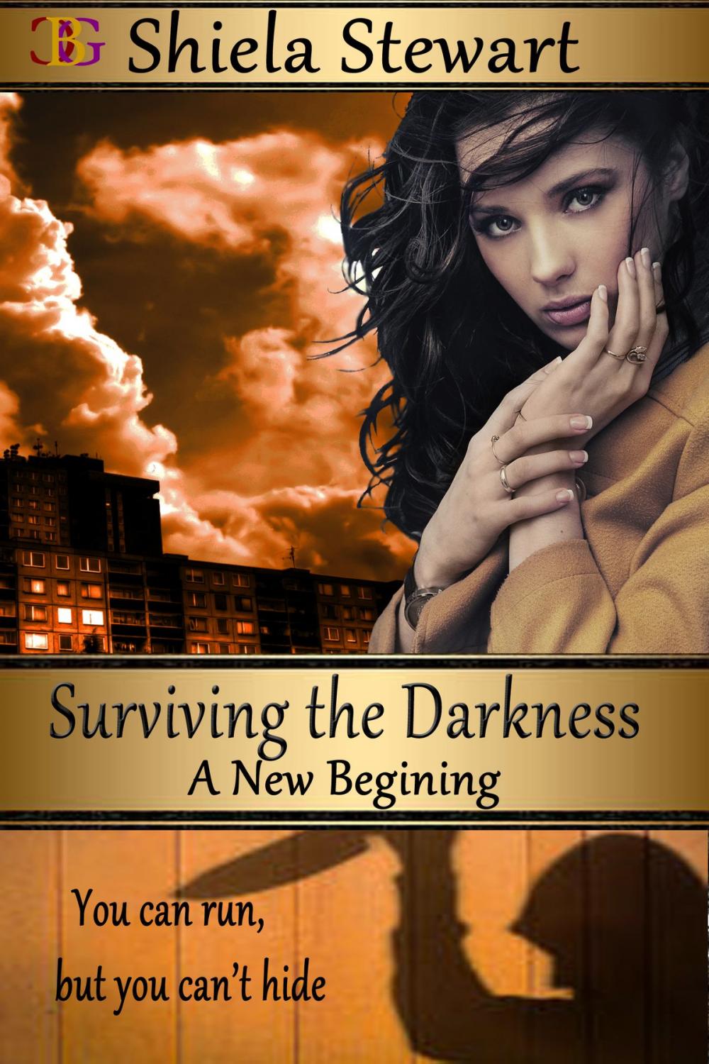 Big bigCover of Surviving the Darkness