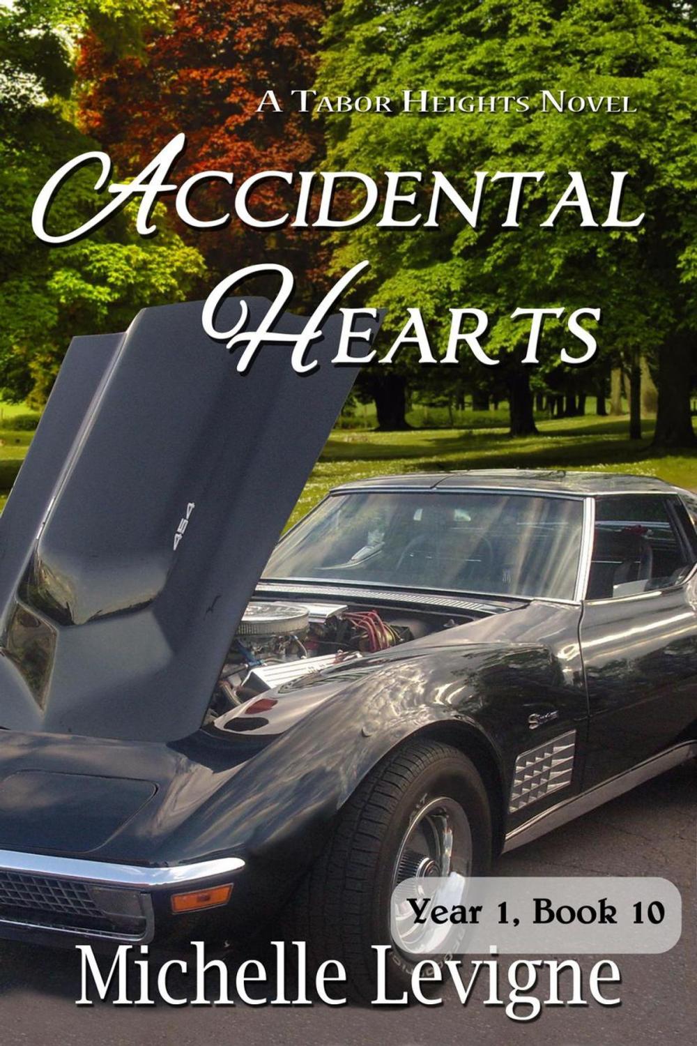 Big bigCover of Accidental Hearts