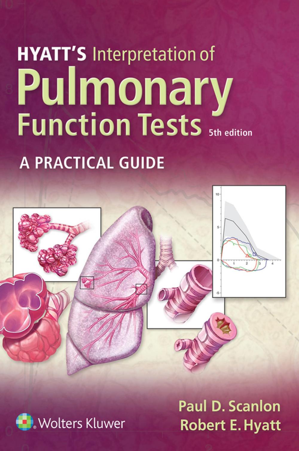 Big bigCover of Hyatt's Interpretation of Pulmonary Function Tests