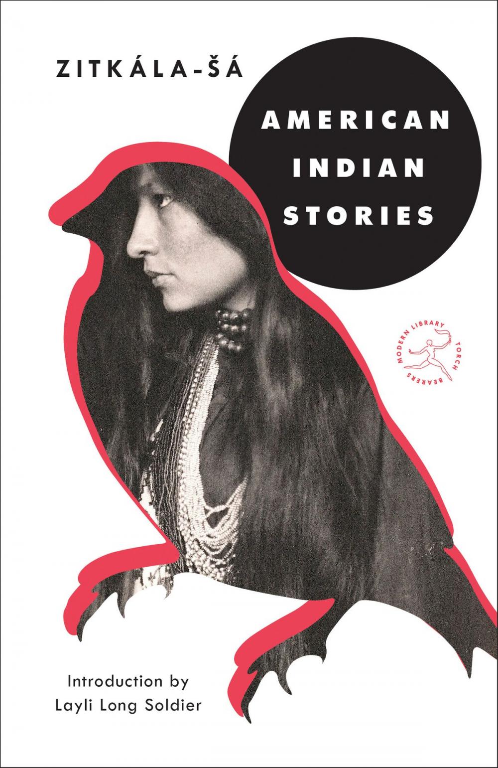 Big bigCover of American Indian Stories