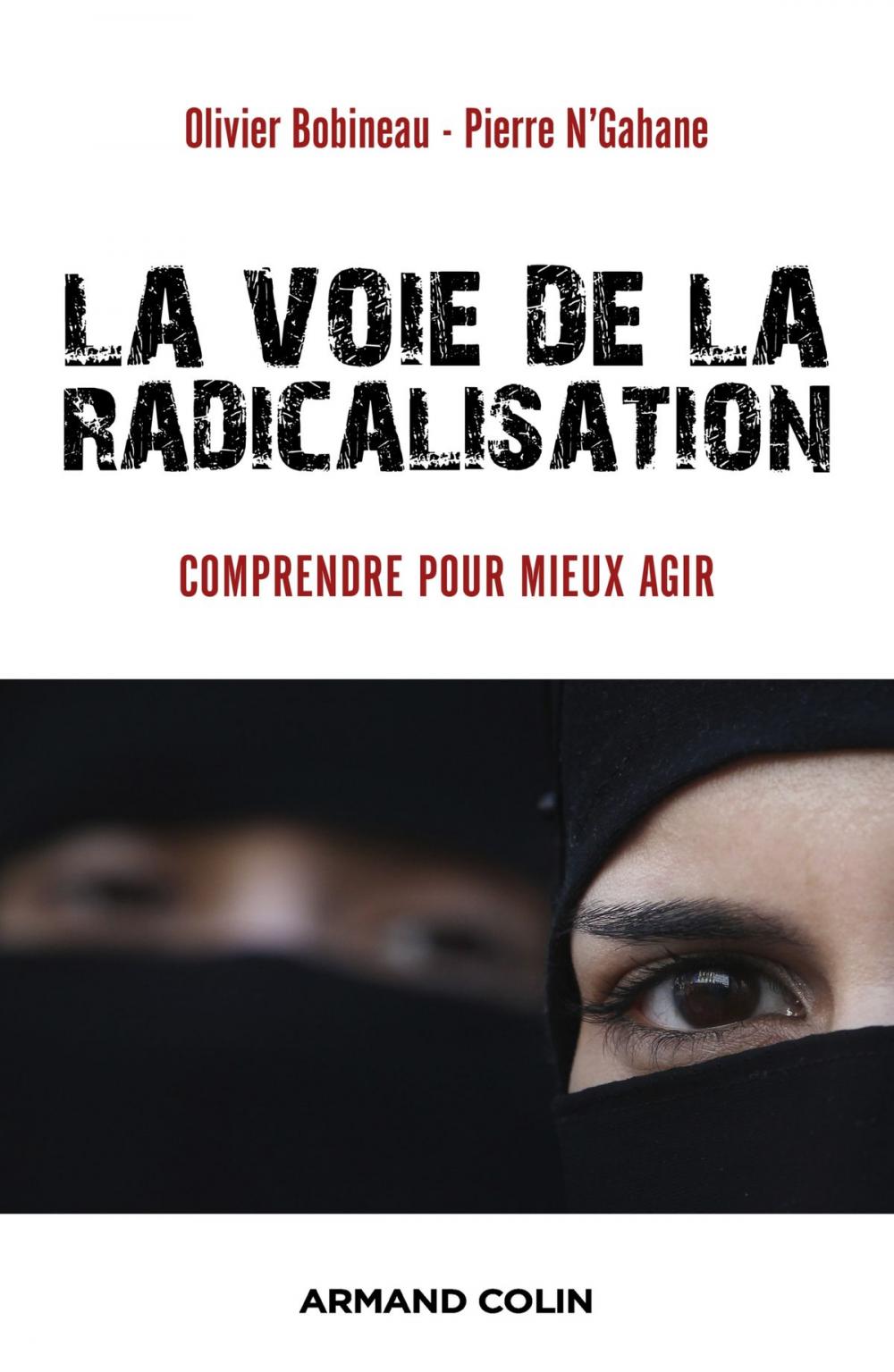 Big bigCover of La voie de la radicalisation