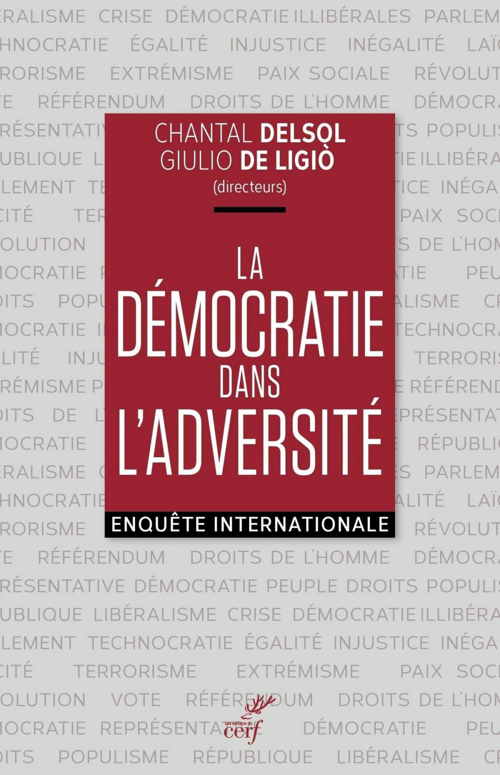 Big bigCover of La démocratie dans l'adversité