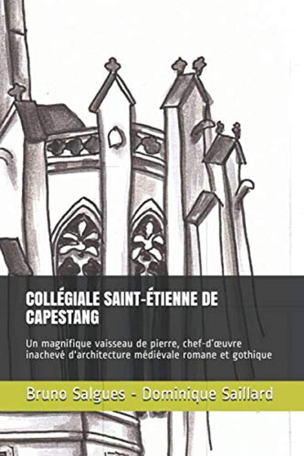 Big bigCover of COLLÉGIALE SAINT-ÉTIENNE DE CAPESTANG