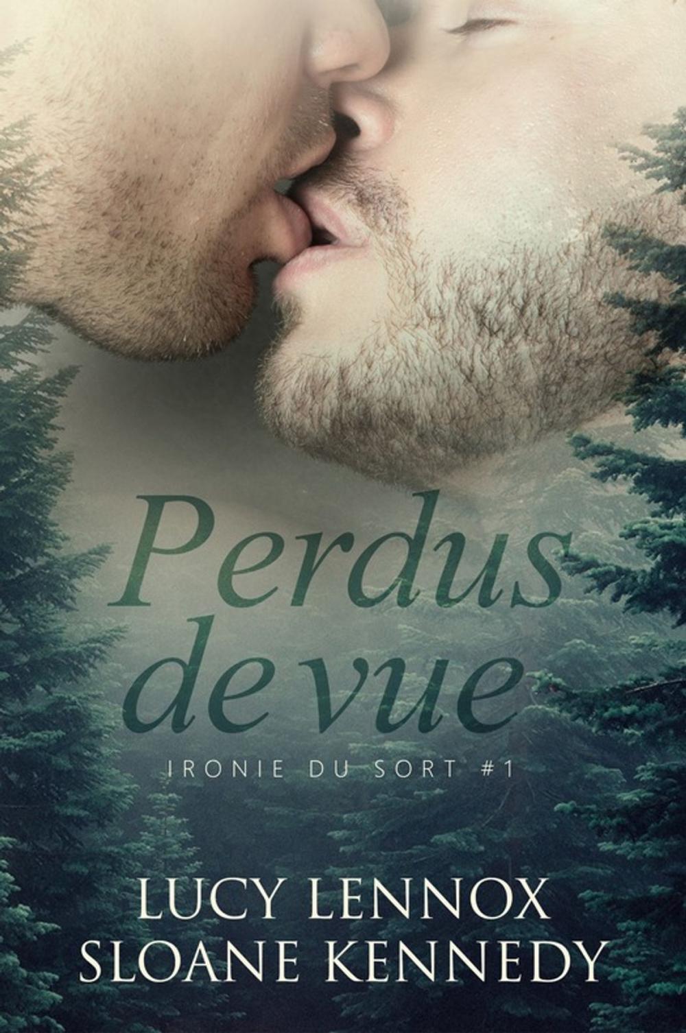 Big bigCover of Perdus de vue