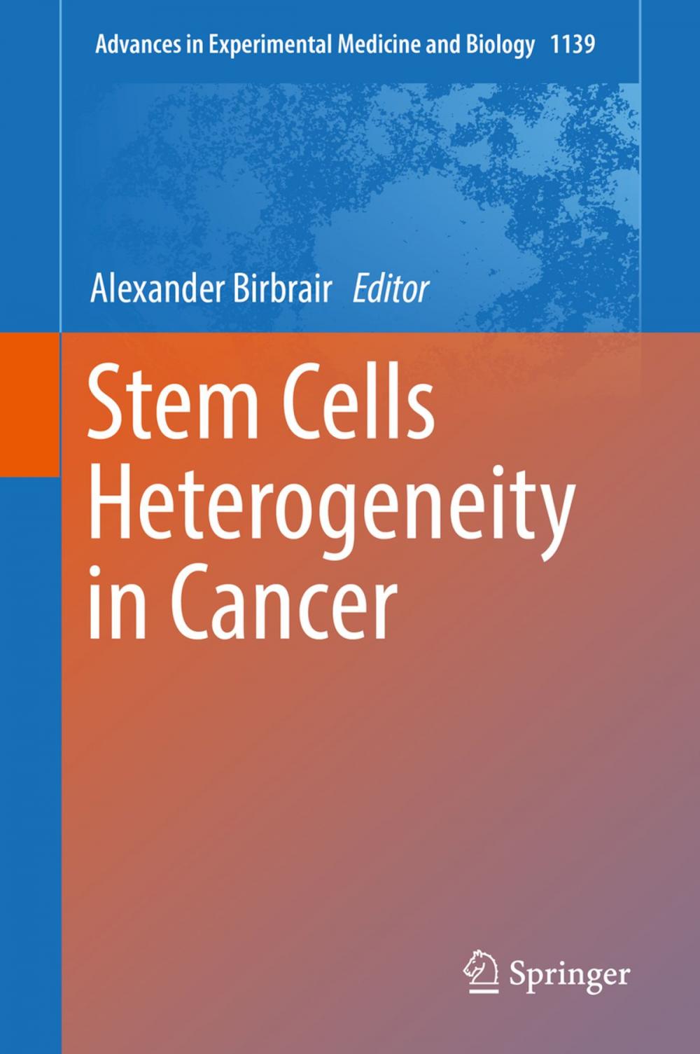 Big bigCover of Stem Cells Heterogeneity in Cancer