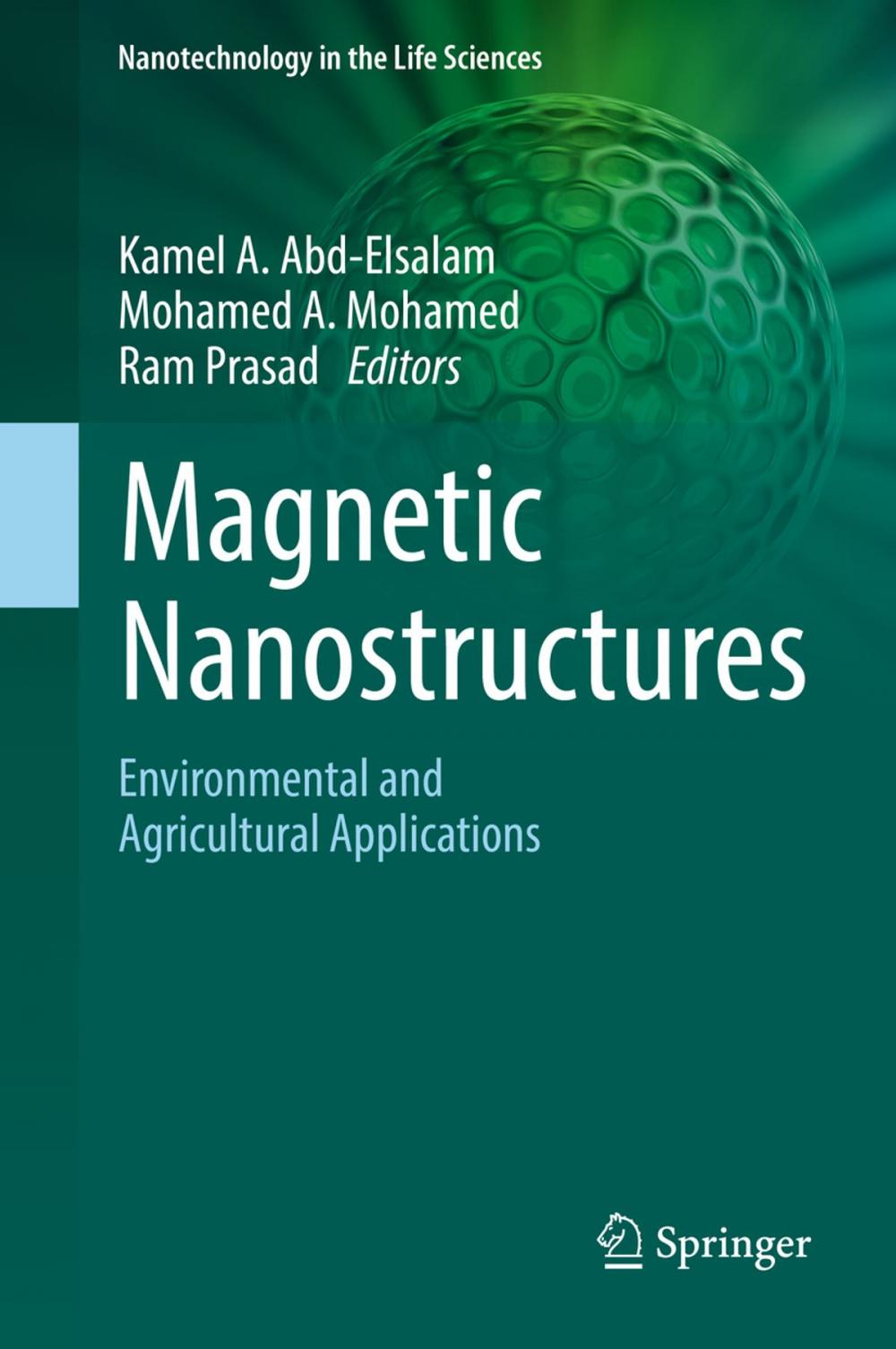 Big bigCover of Magnetic Nanostructures