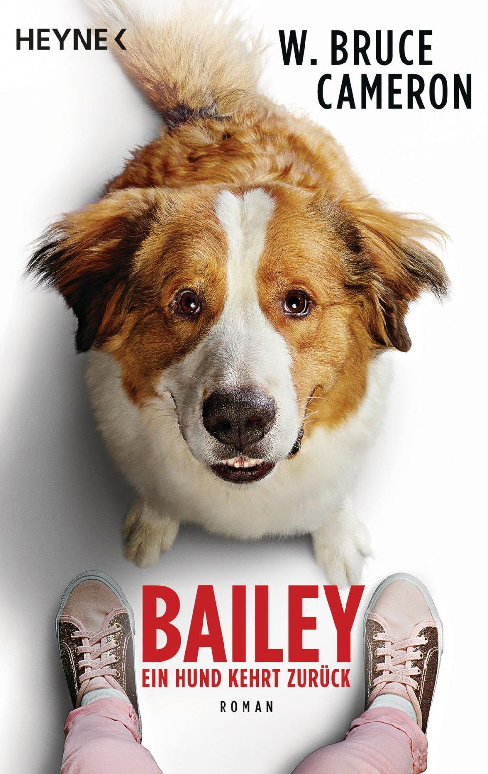 Big bigCover of Bailey - Ein Hund kehrt zurück