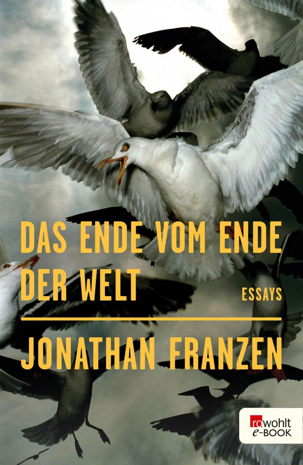 Big bigCover of Das Ende vom Ende der Welt