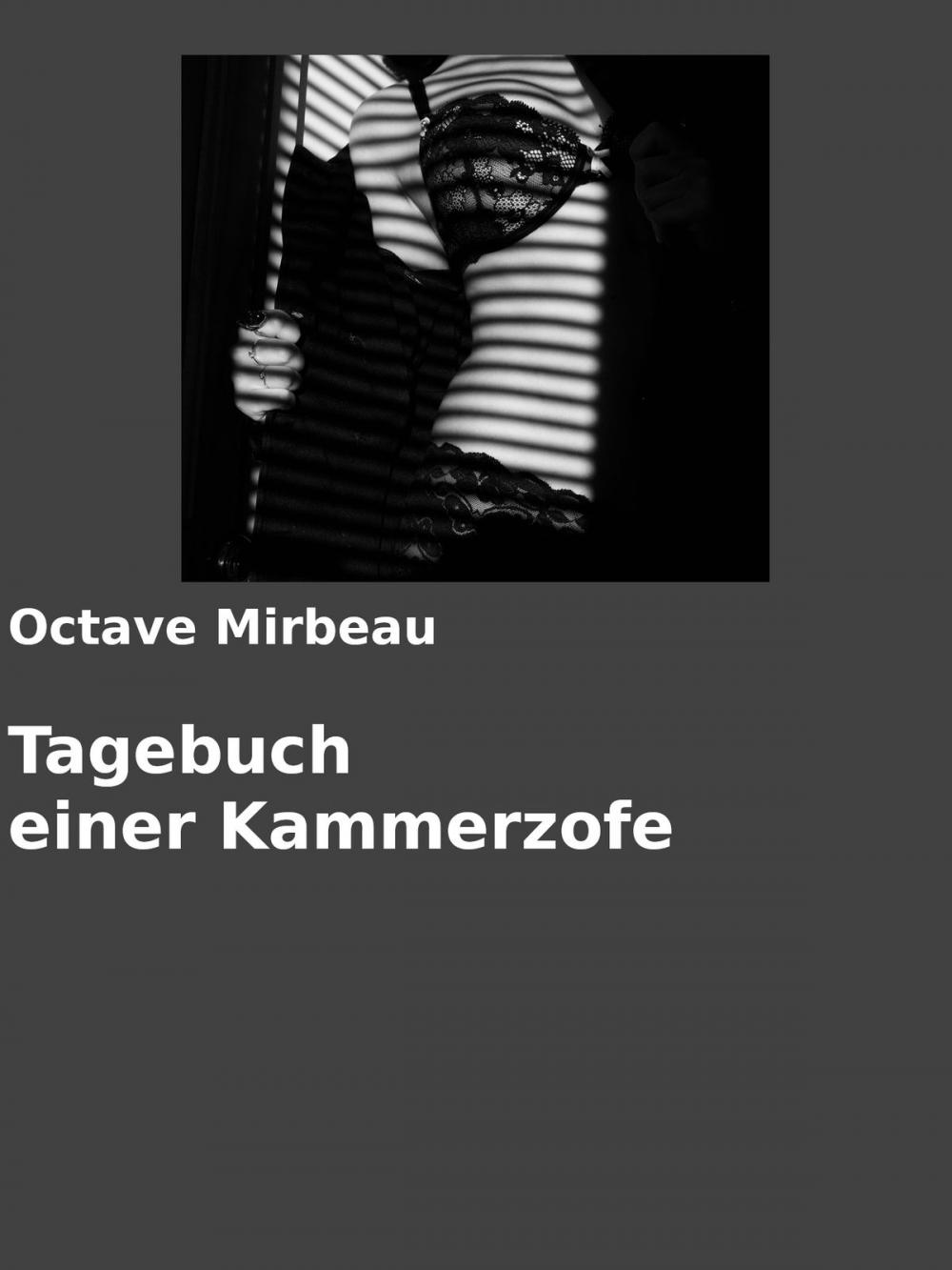 Big bigCover of Tagebuch einer Kammerzofe