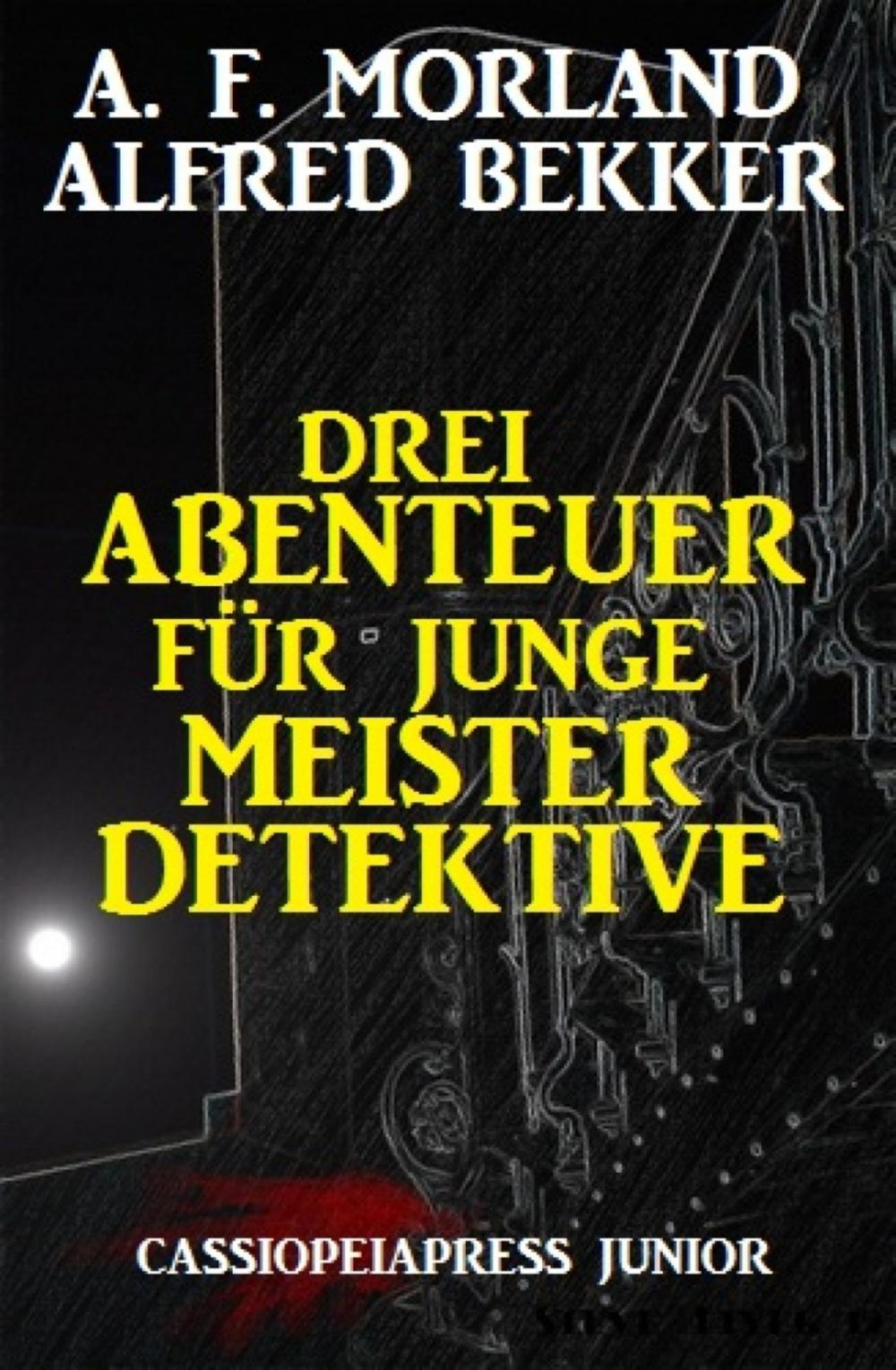 Big bigCover of Drei Abenteuer für junge Meisterdetektive