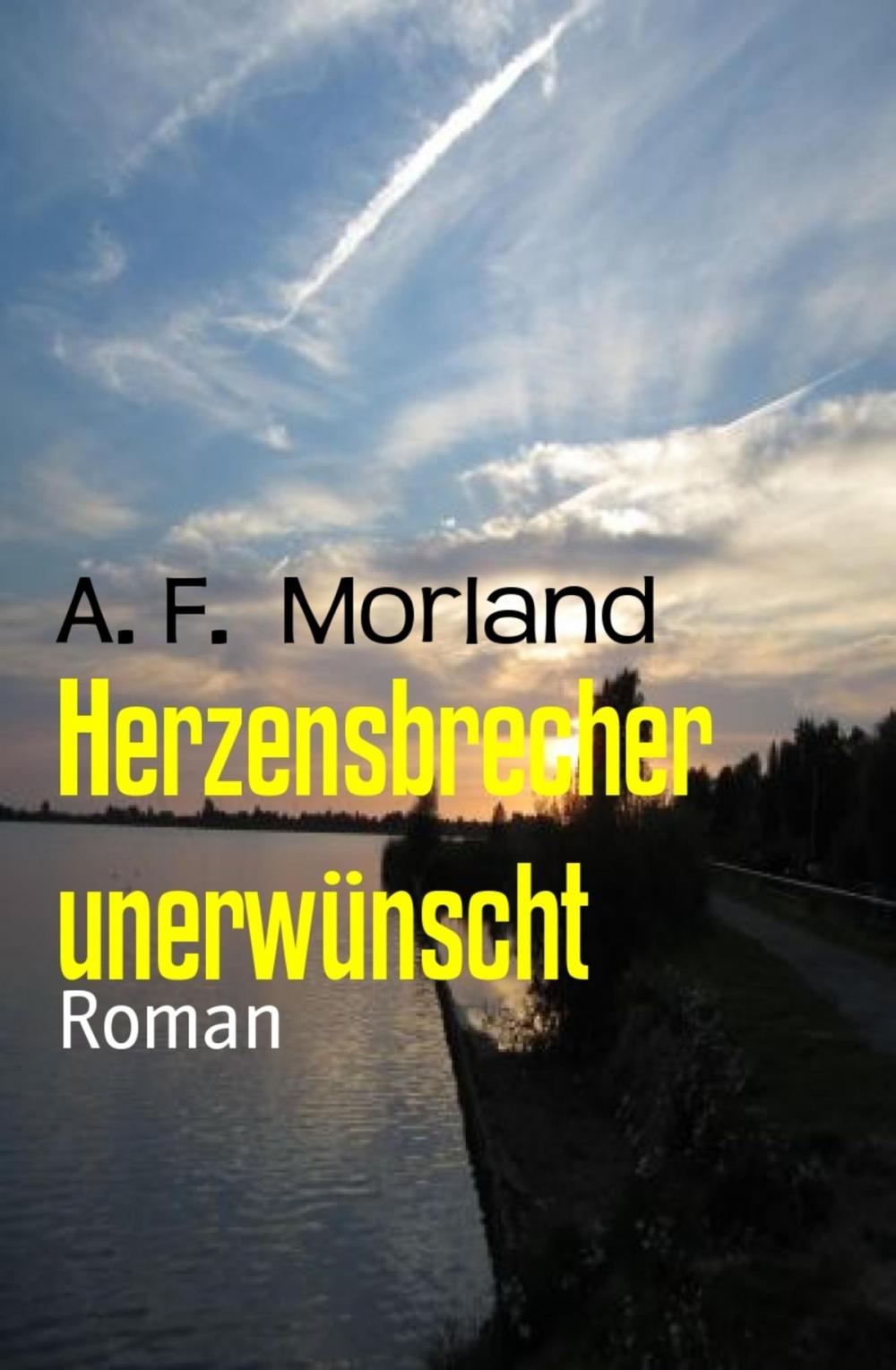 Big bigCover of Herzensbrecher unerwünscht