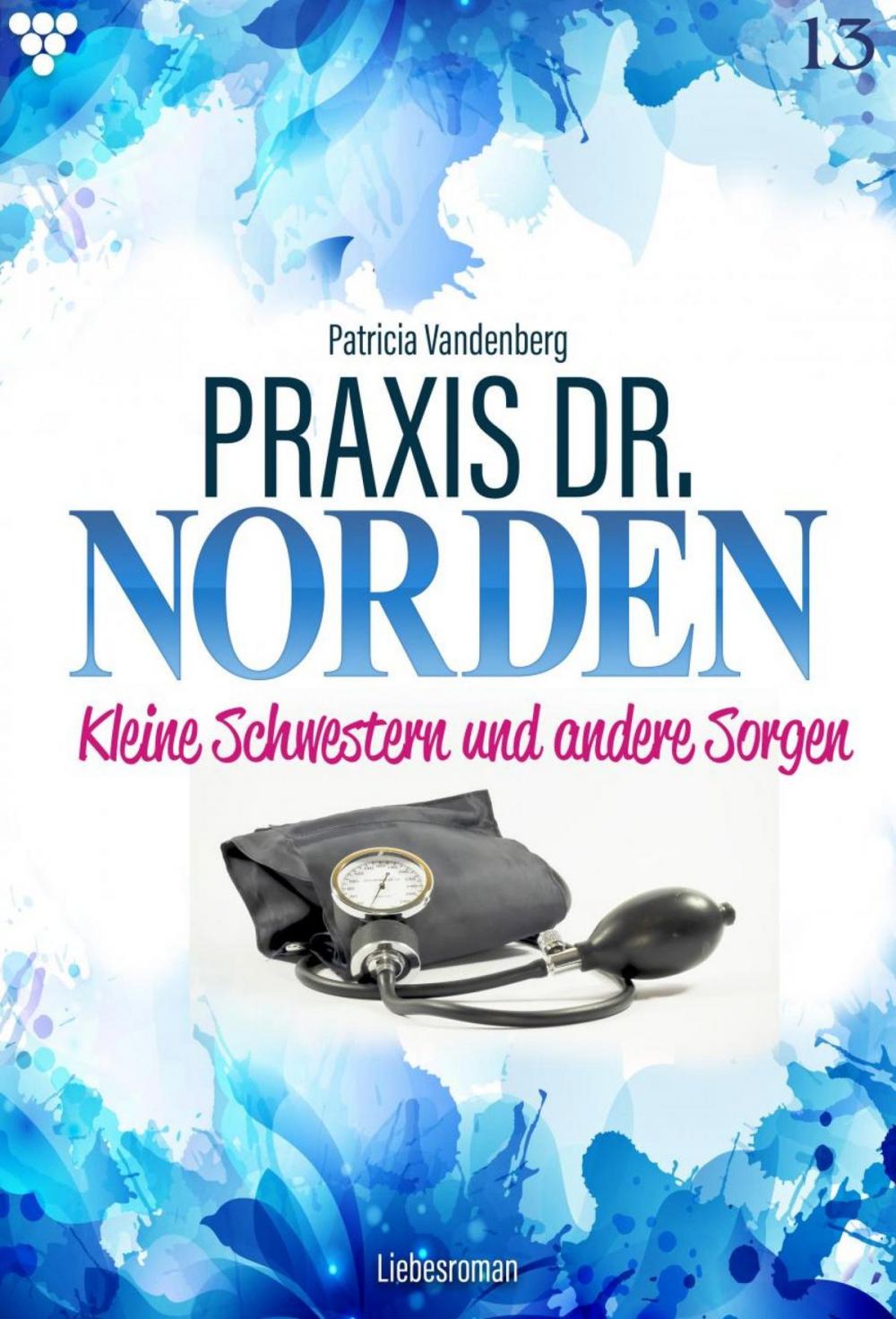 Big bigCover of Praxis Dr. Norden 13 – Arztroman