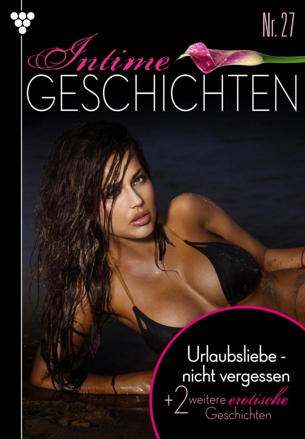 Big bigCover of Intime Geschichten 27 – Erotikroman