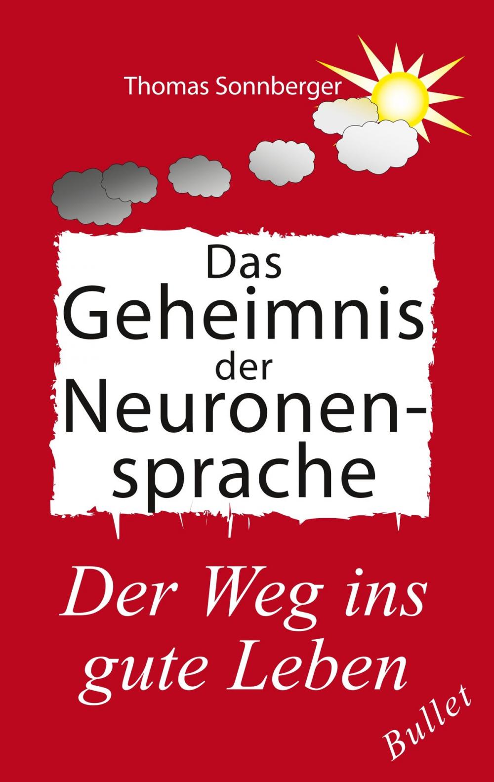 Big bigCover of Das Geheimnis der Neuronensprache