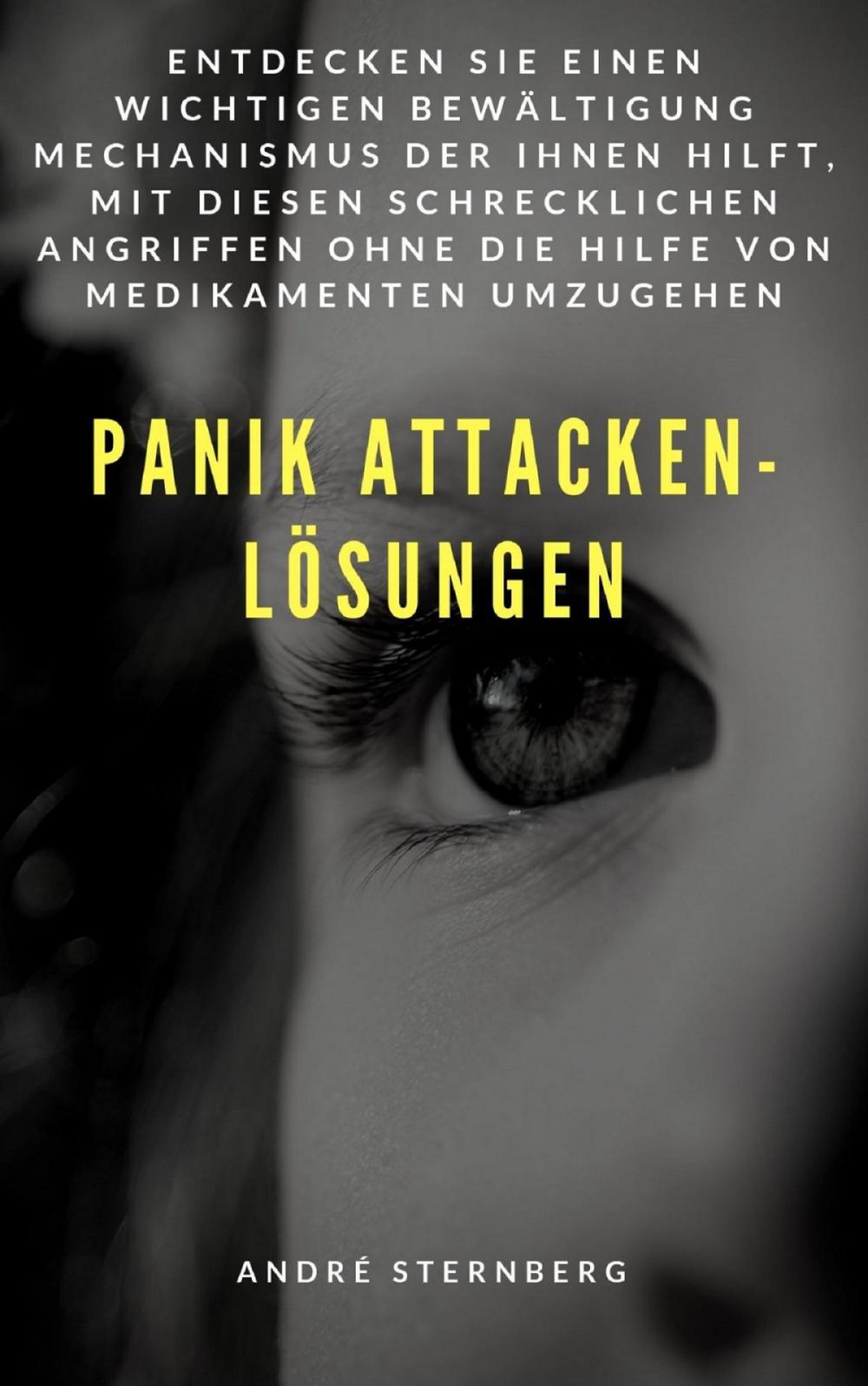 Big bigCover of Panik Attacken - Lösungen