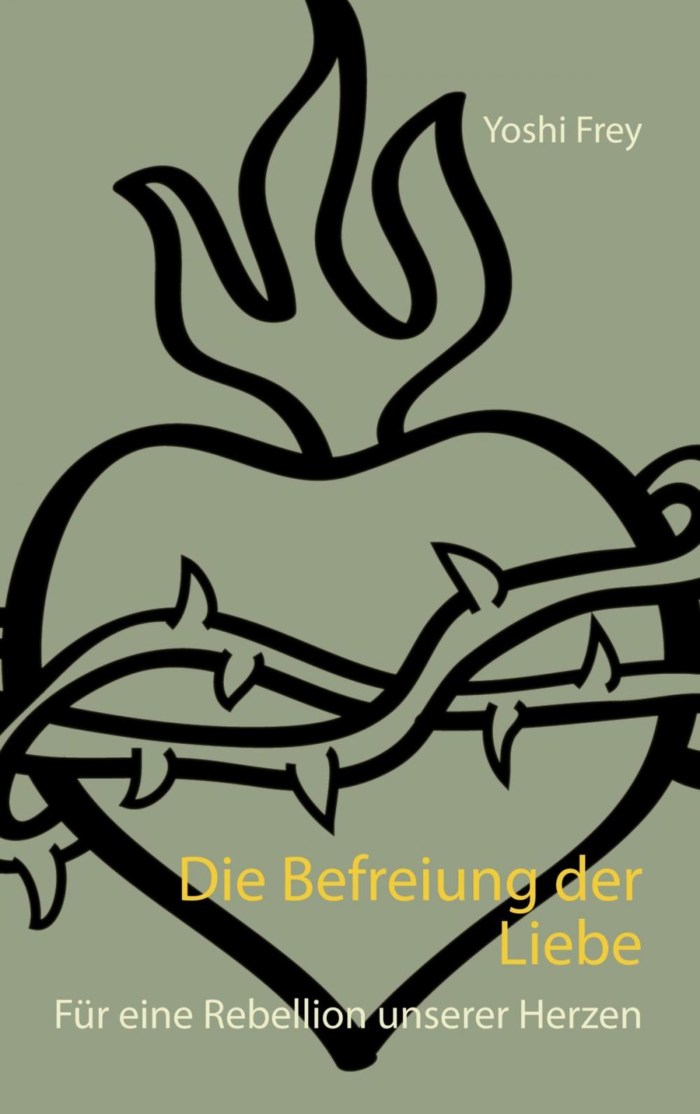 Big bigCover of Die Befreiung der Liebe