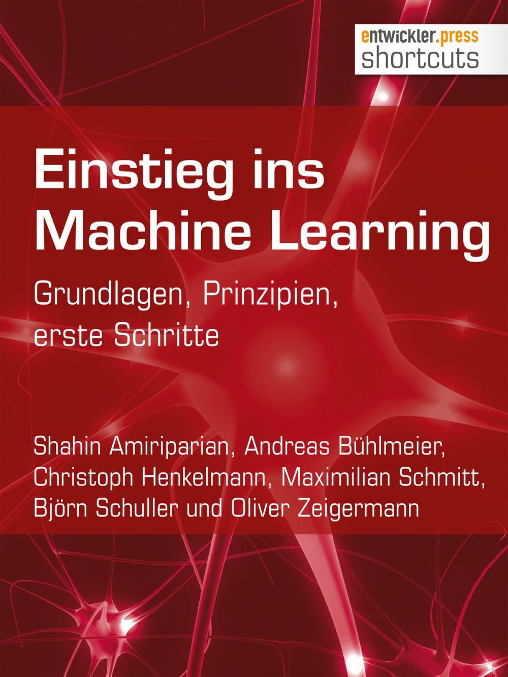 Big bigCover of Einstieg ins Machine Learning